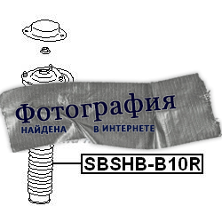 Пыльник заднего амортизатора FEBEST SBSHBB10R